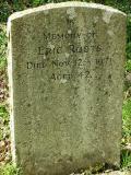 image of grave number 481103